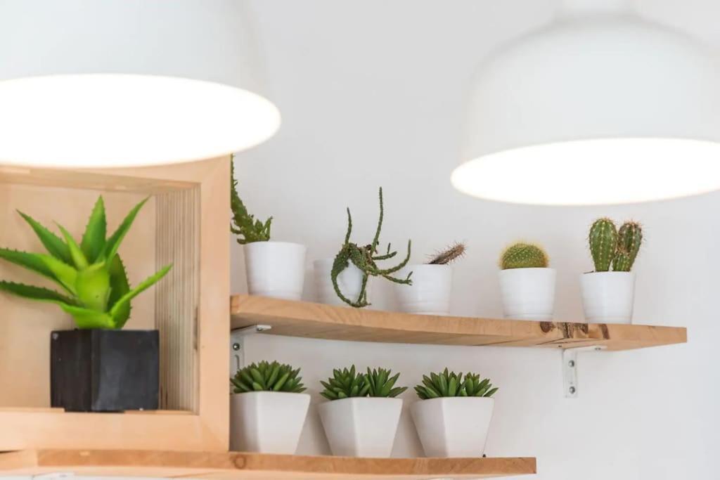 Inlapa Studio VI Porto Garden Εξωτερικό φωτογραφία